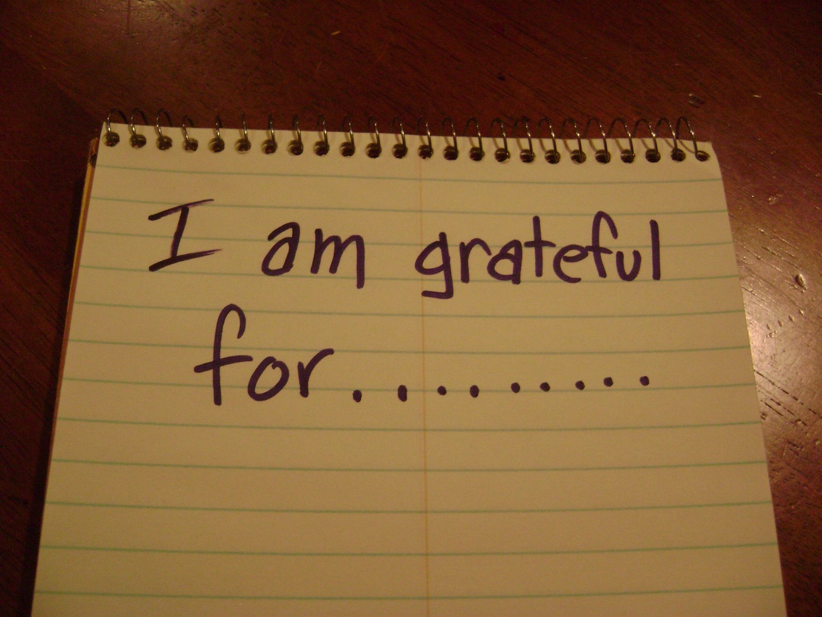 I Am Grateful For Sentence Scaled