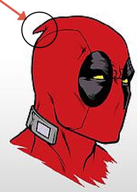 DP02